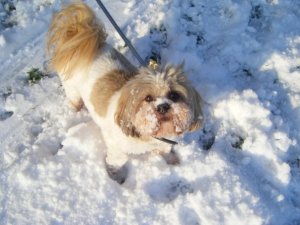 15368_212637743302_506498302_3255264_2049651_n - Copy