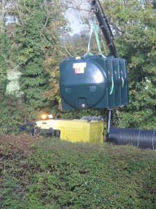 The beast behind the garage.