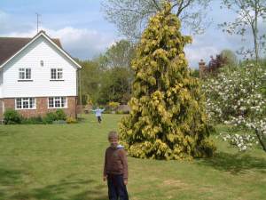 Kids in the garden on viewing day