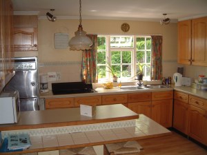 Temperamental cooker alert.