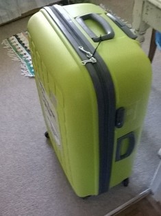 suitcase-lime